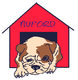 Bulldog dog graphics
