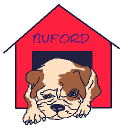 Bulldog dog graphics