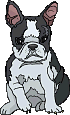 Bulldog dog graphics