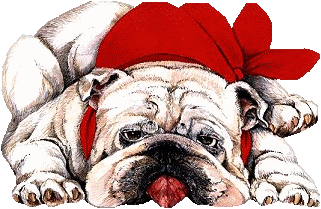 Bulldog dog graphics