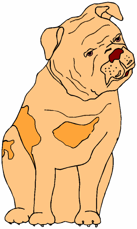 Bulldog dog graphics