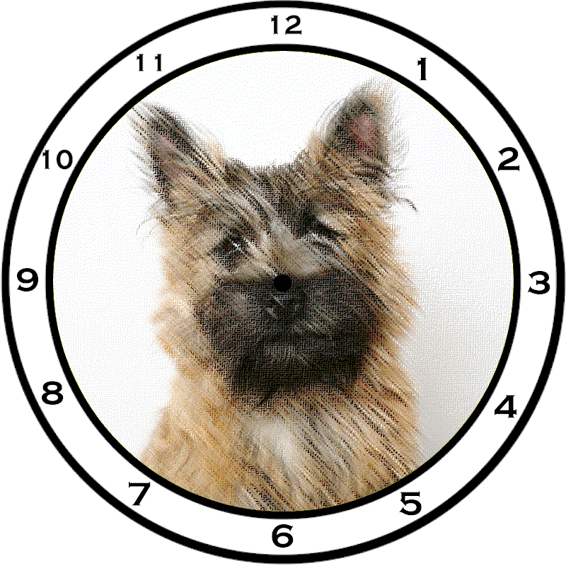 Cairn terrier dog graphics