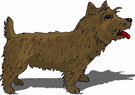 Cairn terrier dog graphics