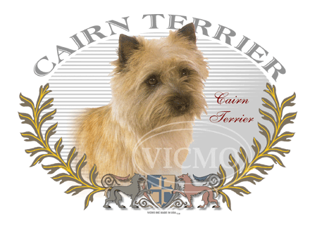 Cairn terrier