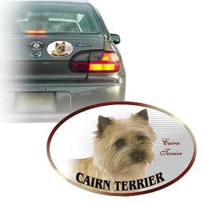 Cairn terrier