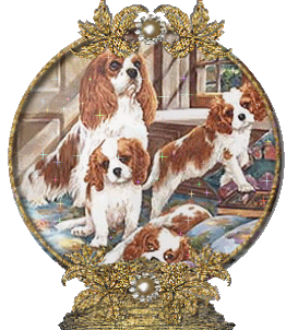 Cavelier dog graphics