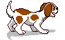 Cavelier dog graphics