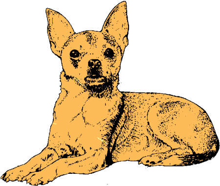 Chihuahua dog graphics