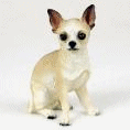 Chihuahua dog graphics