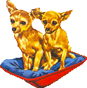 Chihuahua dog graphics