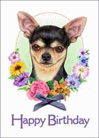 Chihuahua dog graphics