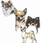 Chihuahua dog graphics