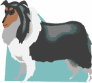 Collie dog graphics