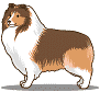 Collie dog graphics
