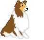 Collie dog graphics