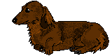Dachshund dog graphics