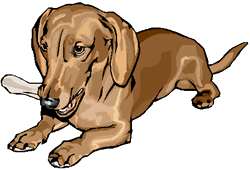 Dachshund dog graphics