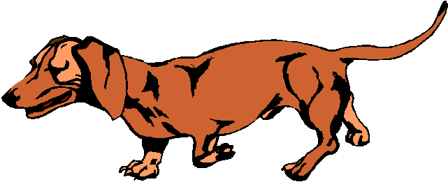 Dachshund dog graphics