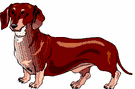 Dachshund dog graphics