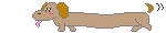 Dachshund dog graphics