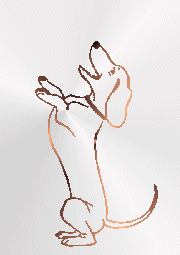 Dachshund dog graphics