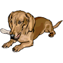 Dachshund dog graphics