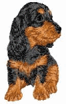 Dachshund dog graphics