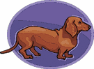 Dachshund dog graphics