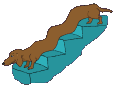 Dachshund dog graphics