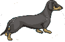 Dachshund dog graphics