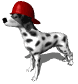 Dalmatian dog graphics