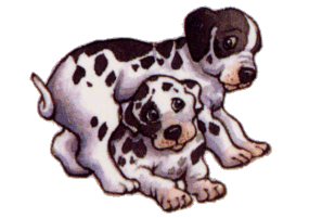Dalmatian dog graphics