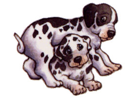 Dalmatian dog graphics