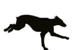 Dobermann dog graphics