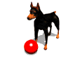 Dobermann dog graphics
