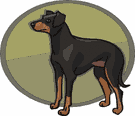 Dobermann dog graphics