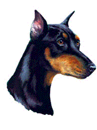 Dobermann dog graphics