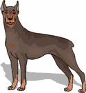 Dobermann dog graphics