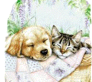 Dog and cat dog graphics