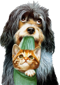 Dog and cat