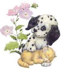 Dog and cat dog graphics