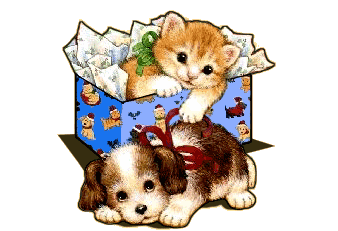 Dog and cat dog graphics