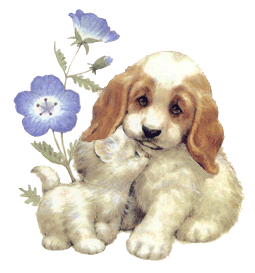 Dog and cat dog graphics