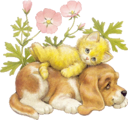 Dog and cat dog graphics