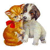 Dog and cat dog graphics