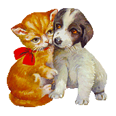 Dog and cat dog graphics