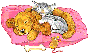 Dog and cat dog graphics