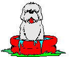Dog bath dog graphics