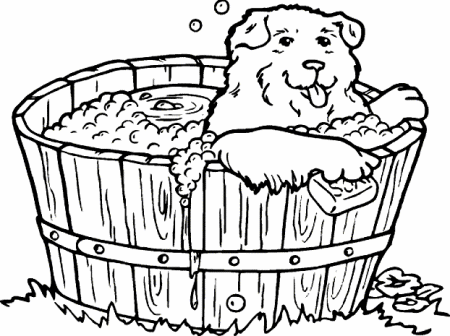 Dog bath dog graphics