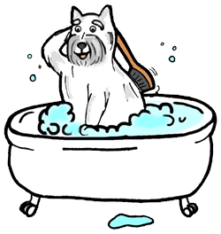 Dog bath